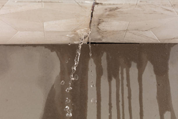 Professional Water Damage Repair technician working in Assonet, MA